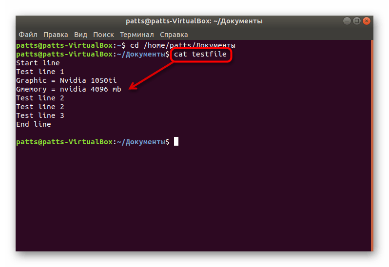 Применение команды cat в терминале Linux