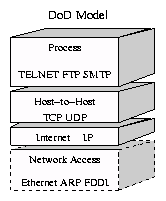 Сетевая модель TCP/IP (Модель DoD)