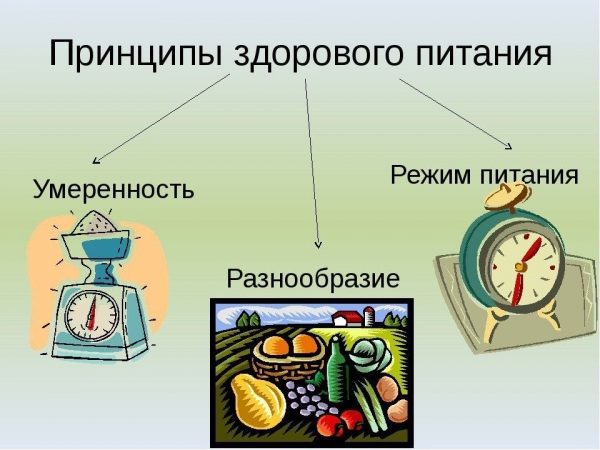 Основные принципы здорового питания. Премущества доставки рациона по подписке