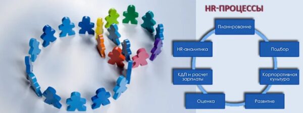 Автоматизация HR-процессов: как технологии меняют управление персоналом